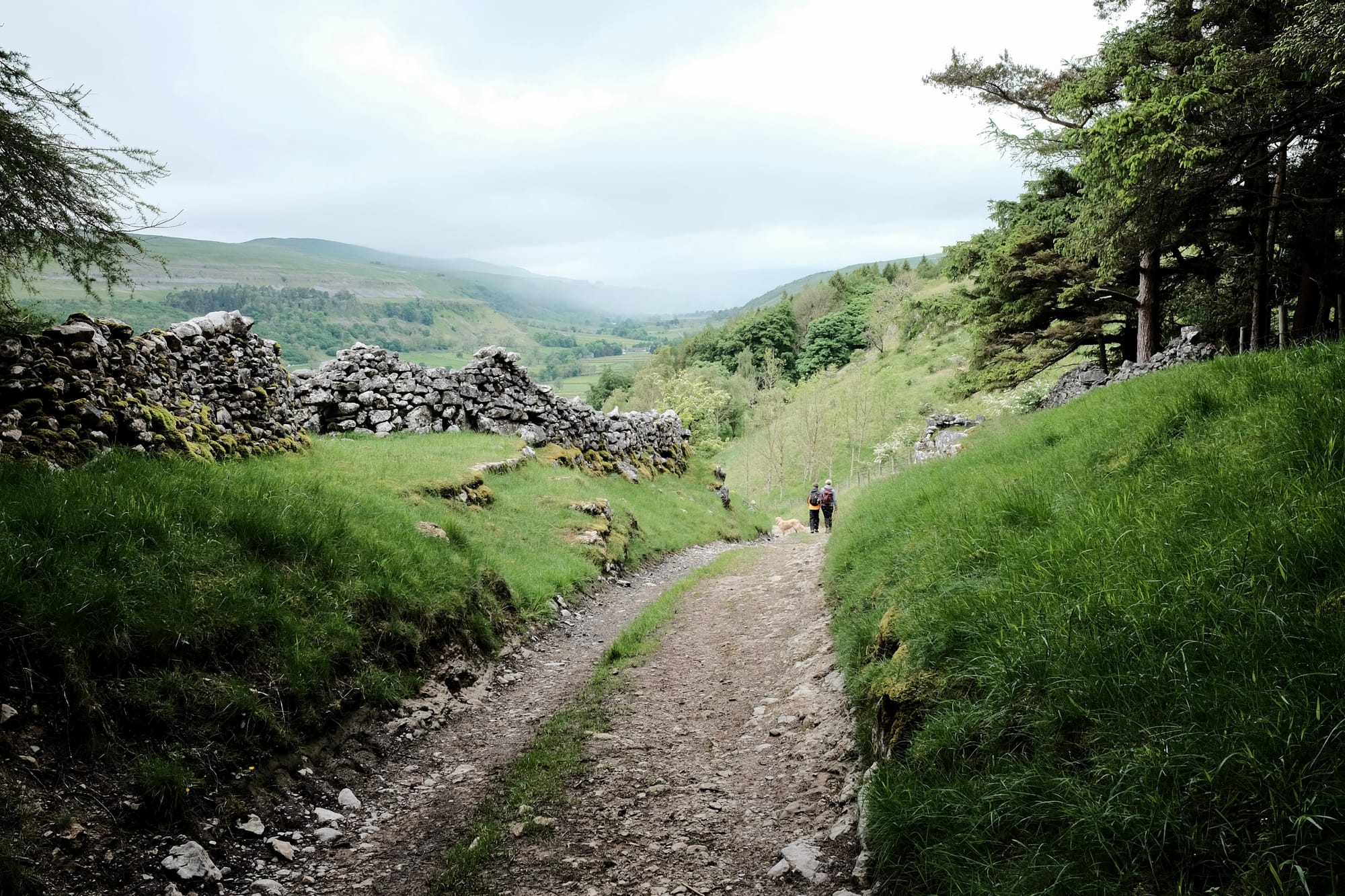 Two people and a yellow dog walk away in the distance down a stone track with high grass banks, hills in the distance.