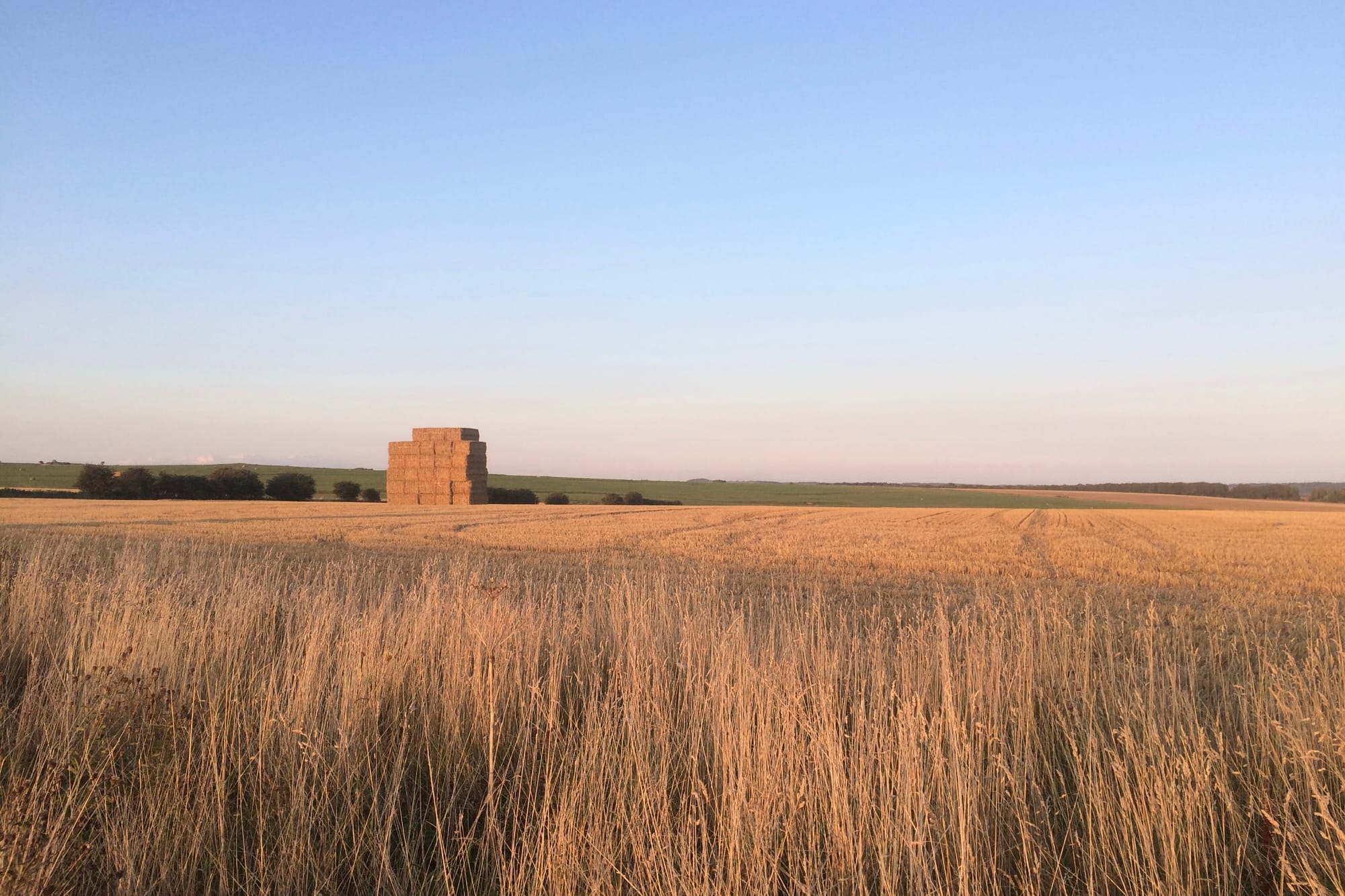 A large square stack of golden straw bales stands in a corn field that has recently been harvested.