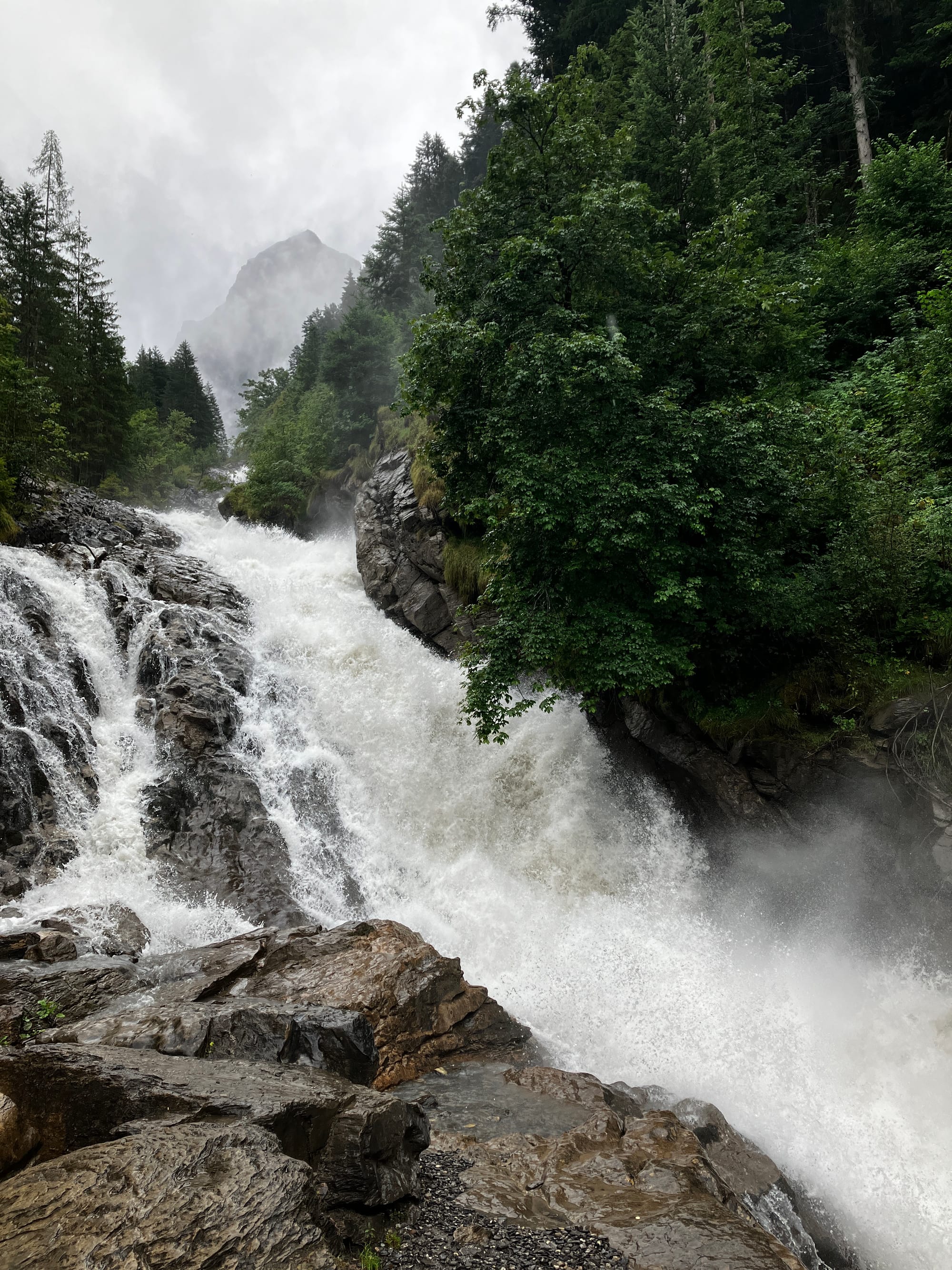 The whitewater for the Simmenfälle waterfall crashes down a grey rocky channel surrounded by green trees.