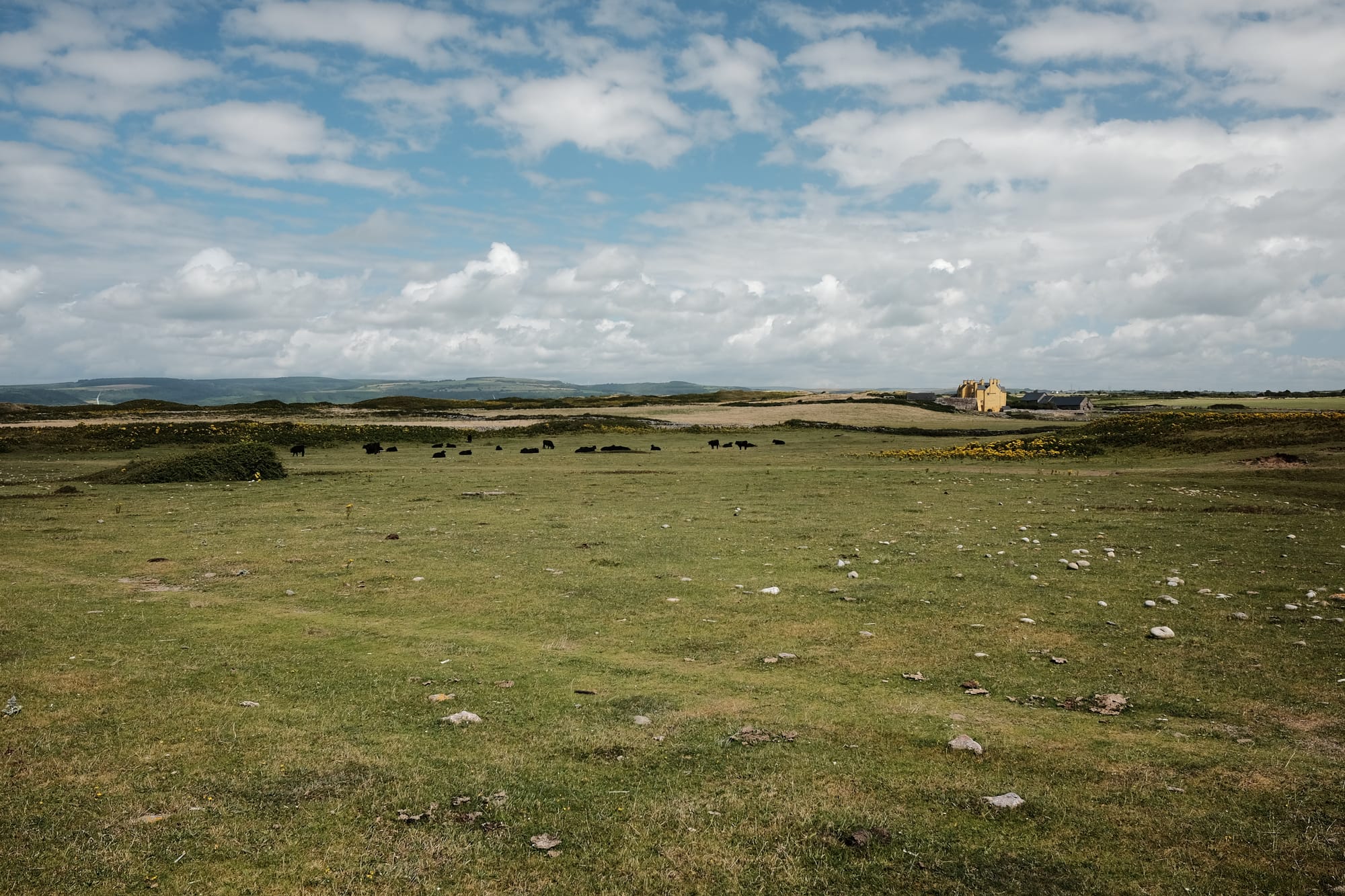 In the distance, the yellow walls of Sker House stand out above the green coastal grassland.