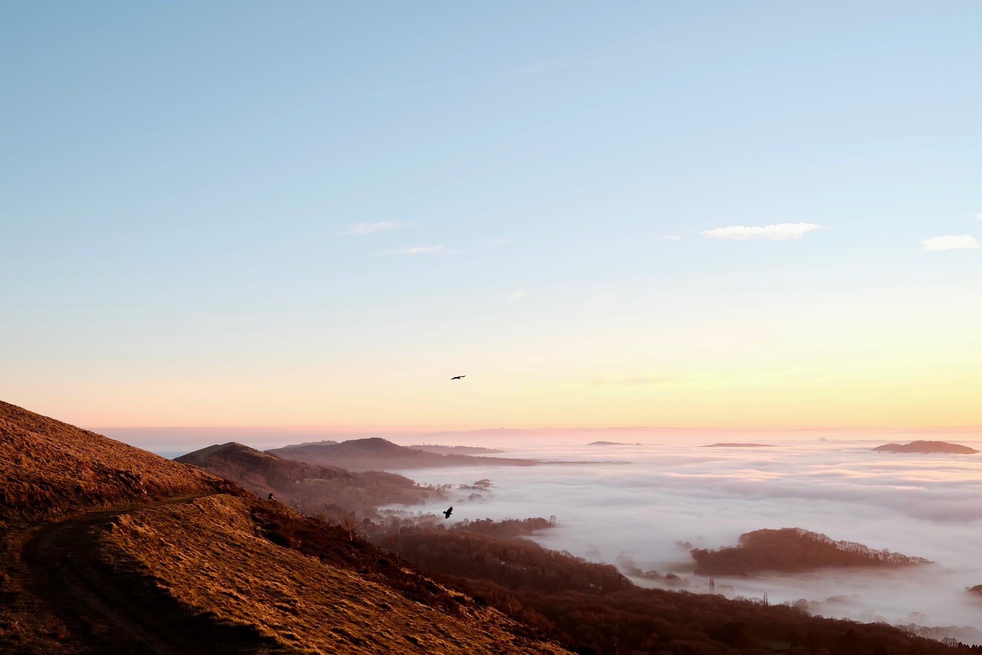 Birds soar above a ridge of hills surrounded by a sea of low cloud.