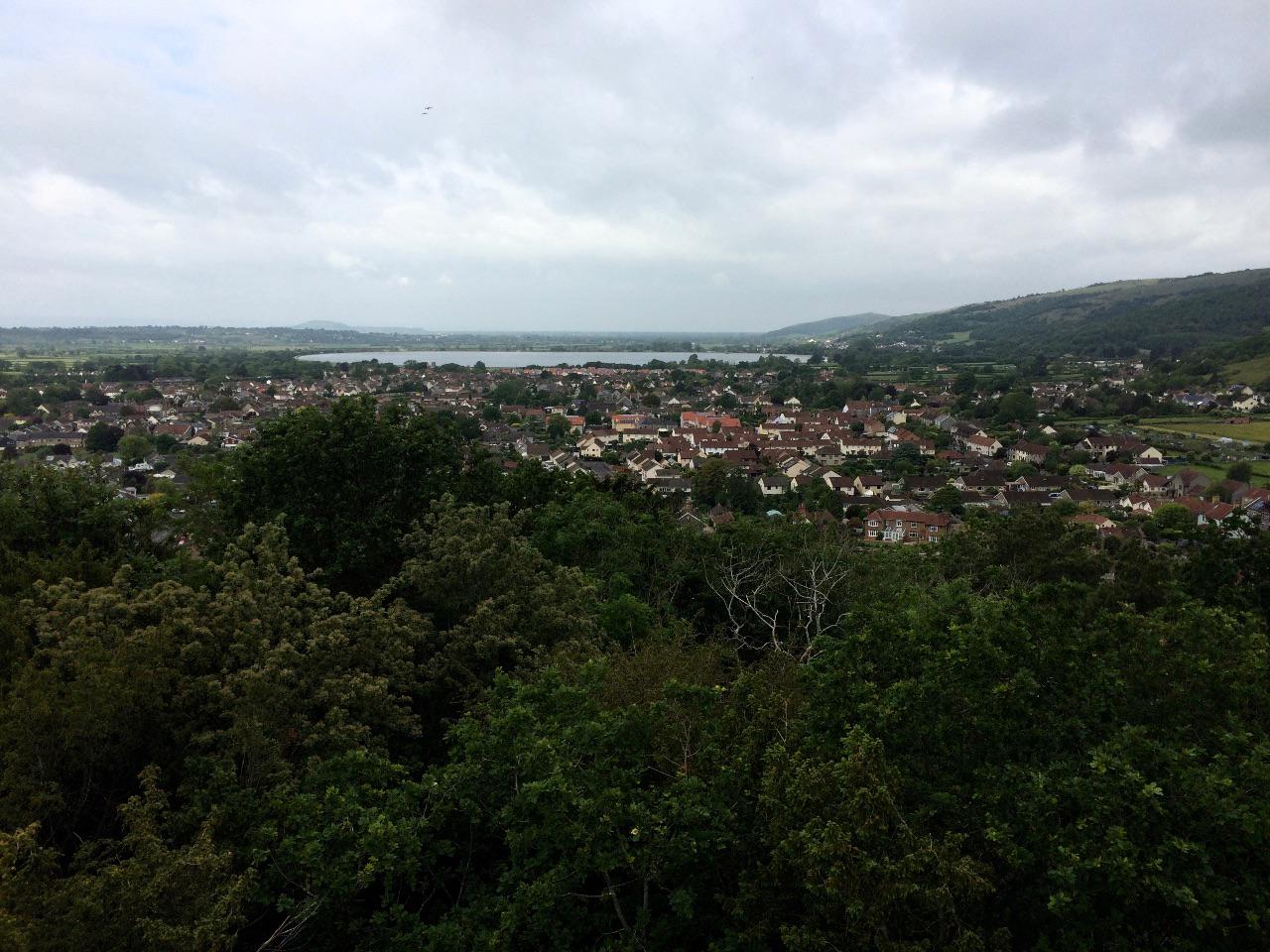 View of Cheddar town from above the gorge: houses among trees and a reservoir in the distance.