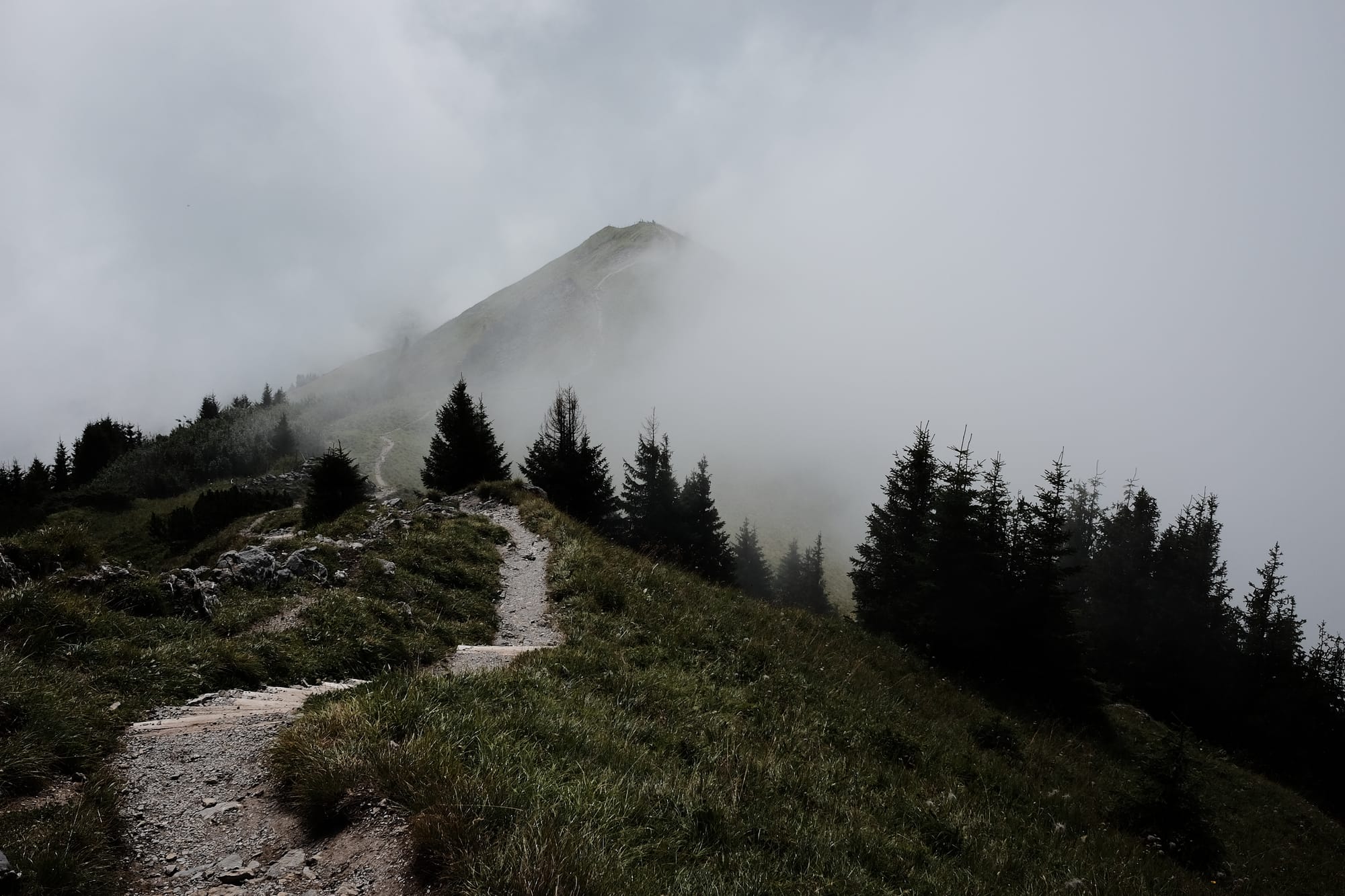 A narrow stone path weaves along a cloudy mountain ridge with green grass and trees on either side.