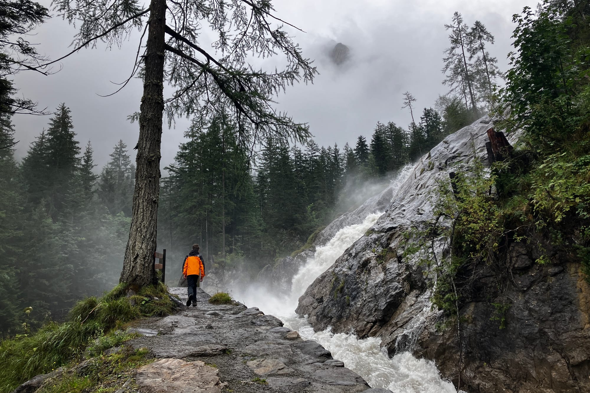 A child in an orange coat walks along a path by a waterfall, tall trees on either side.