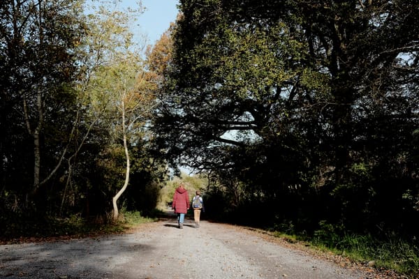 A woman in a red coat and a child carrying a blue and green rucksack walk along a stony track surrounded by tall trees.